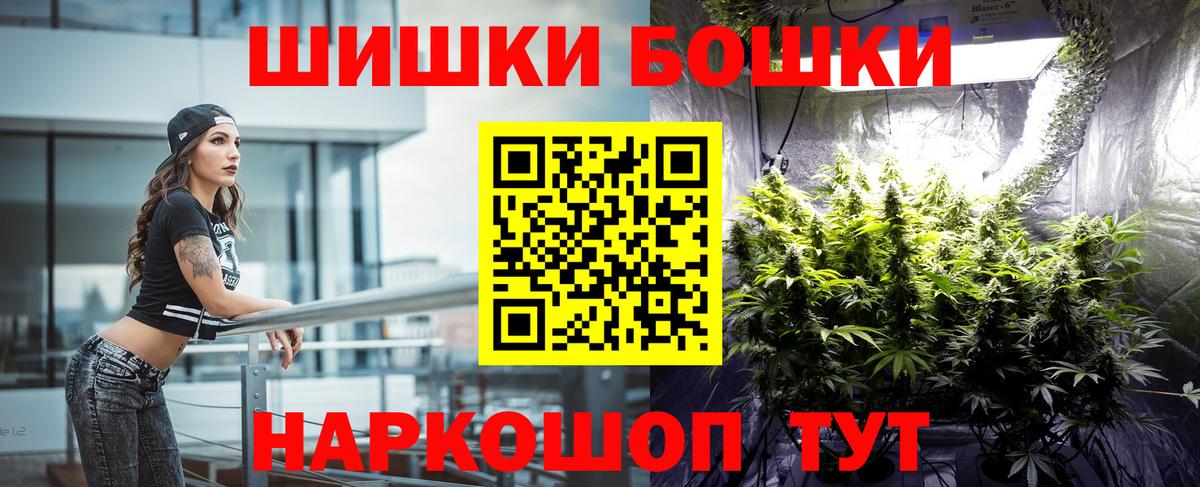 Бошки Шишки план Новошахтинск